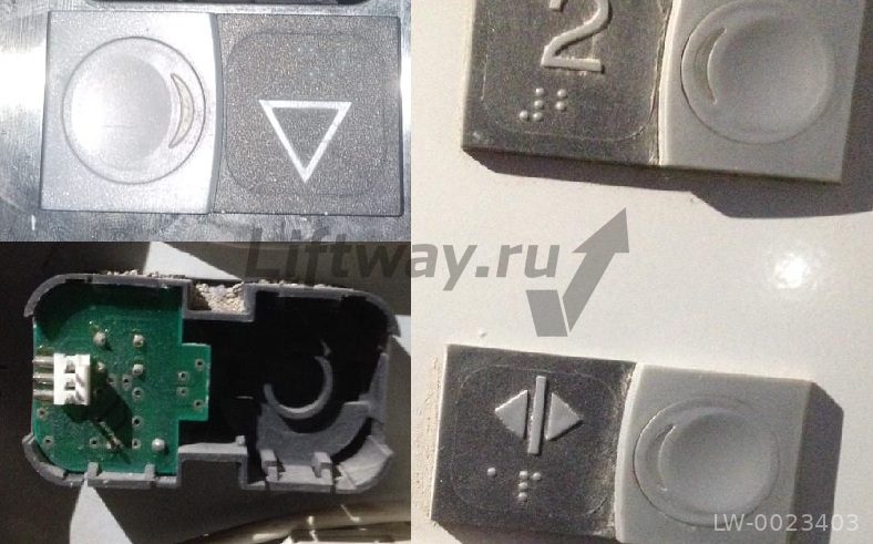 Кнопка вызова / приказа тип PM-6 (синяя подсветка)